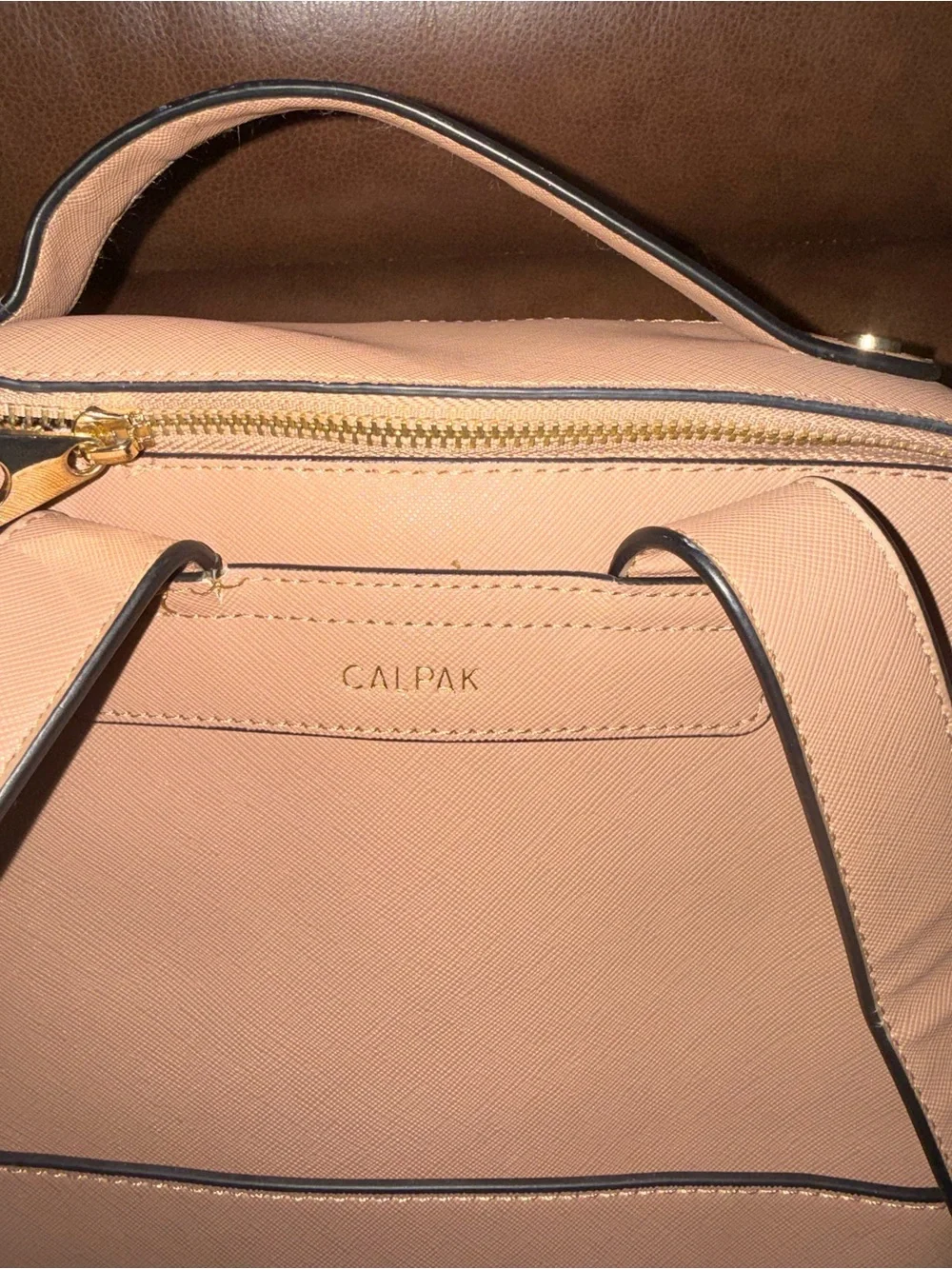 Calpak sleek backpack